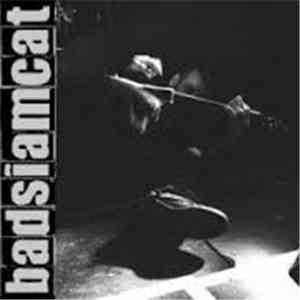 Bad Siam Cat - ...Radio Plays The Grand Funk download free