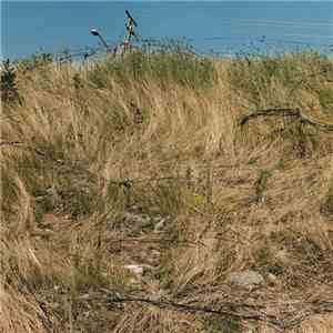 Battles - EP C download free