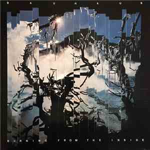 Bauhaus - Burning From The Inside download free