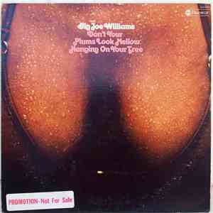 Big Joe Williams - Don't Your Plums Look Mellow Hanging On Your Tree download free