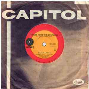 Bugaloos - Theme From The Bugaloos download free