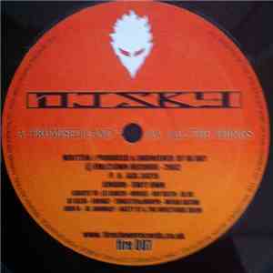 DJ Sky  - Promised Land / All The Things download free