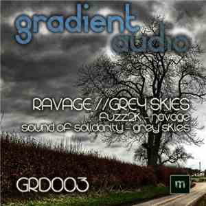 Fuzz2k / Sounds Of Solidarity - Ravage / Grey Skies download free