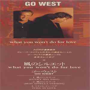 Go West - What You Won't Do For Love download free