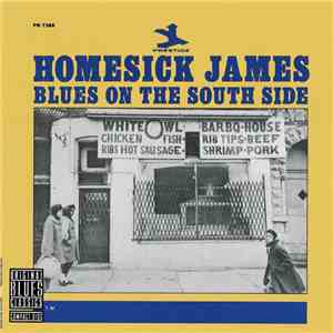 Homesick James - Blues On The South Side download mp3 flac