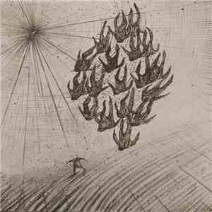 Áine O'Dwyer - Locusts download free