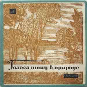 No Artist - Голоса Птиц В Природе download free