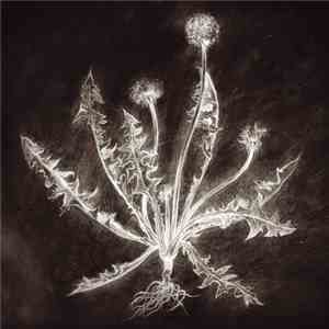 Scott Tuma - Dandelion download free