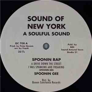 Spoonin Gee - Spoonin Rap download free