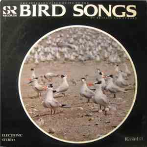Sture Palmér, Jeffery Boswall - The Peterson Field Guide To The Bird Songs Of Britain And Europe, Record 13 download free