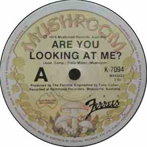 The Ferrets - Are You Looking At Me? download free