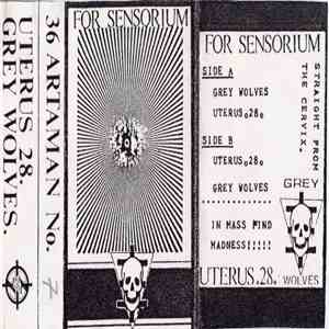 The Grey Wolves & Uterus 28 - For Sensorium download free