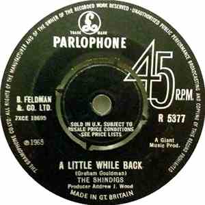The Shindigs  - A Little While Back download free