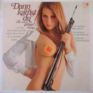 Various - Dann Kamst Du & Andere Grosse Erfloge download free
