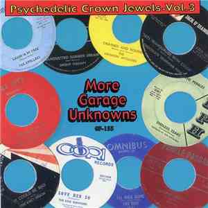 Various - Psychedelic Crown Jewels - Vol. 3 (More Garage Unknowns) download free
