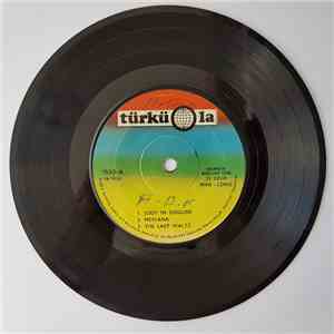 Werner Müller Orkestrası - Judy In Disguise/Mevlana/The Last Waltz/Laila's Dream/Love Is Blue/Memories Of Marmara download free