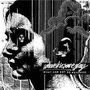 whenskiesaregray - What Can Not Be Reversed download free