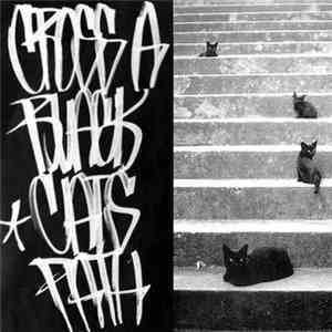 Wrong Answer - Cross A Black Cat's Path download free
